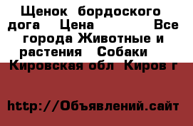 Щенок  бордоского  дога. › Цена ­ 60 000 - Все города Животные и растения » Собаки   . Кировская обл.,Киров г.